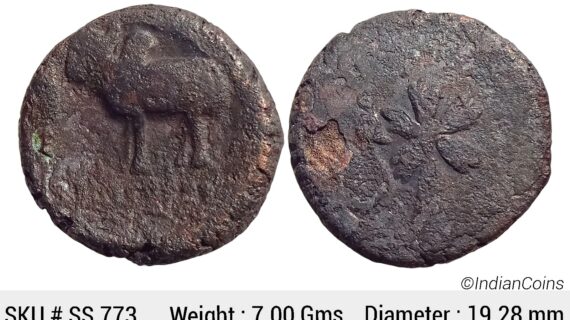 Ancient Ayodhya Region Copper Unit SS 773