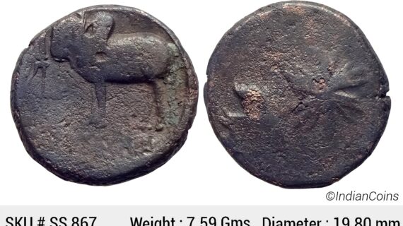 Ancient Ayodhya Region Copper Unit SS 867