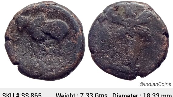 Ancient Ayodhya Region Copper Unit SS 865